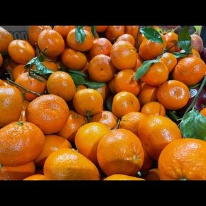 Meet your Posher, Lana